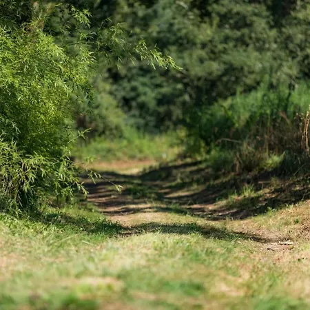 Caperot Eyres-Moncube